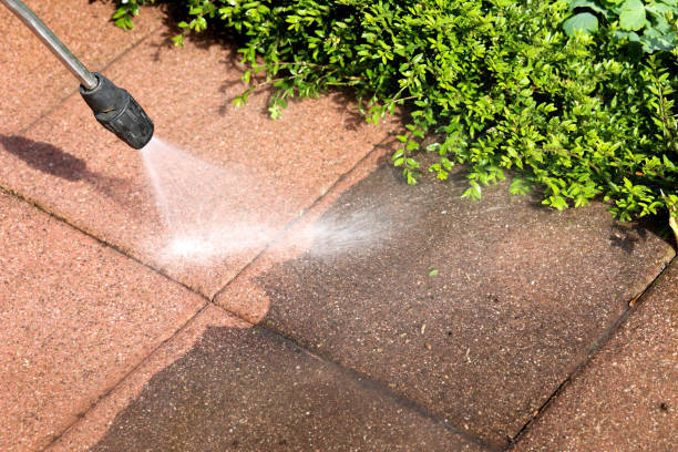 Best Fence Pressure Washing  in Hazlehurst, MS