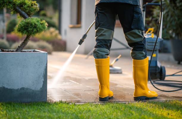 Best House Pressure Washing  in Hazlehurst, MS